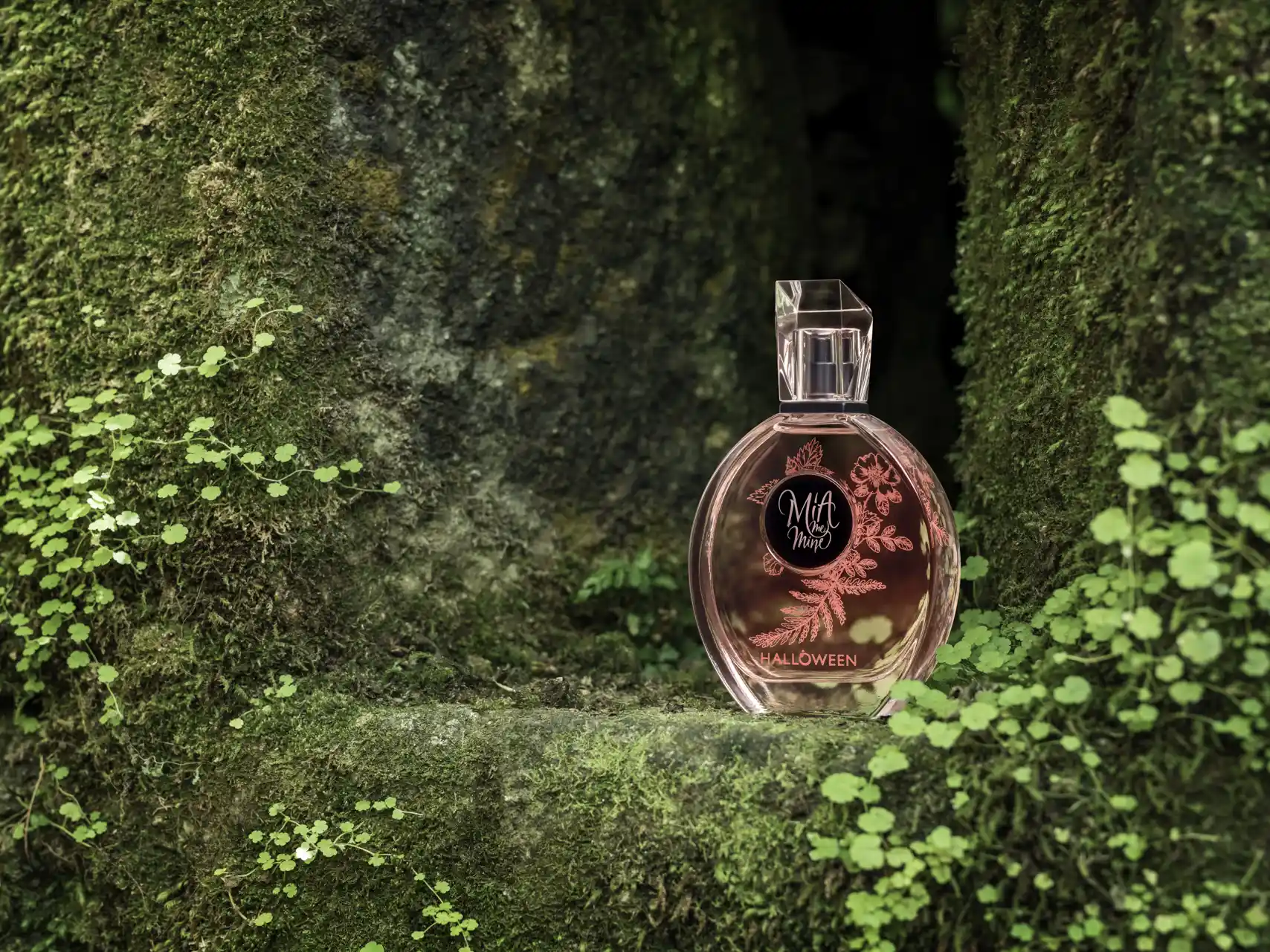 miguel_monasterio_fotografía_still life_49
