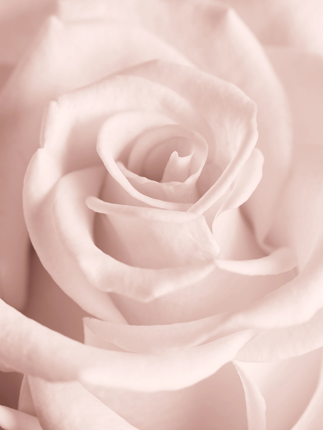 miguel_monasterio_fotografía_still life_65