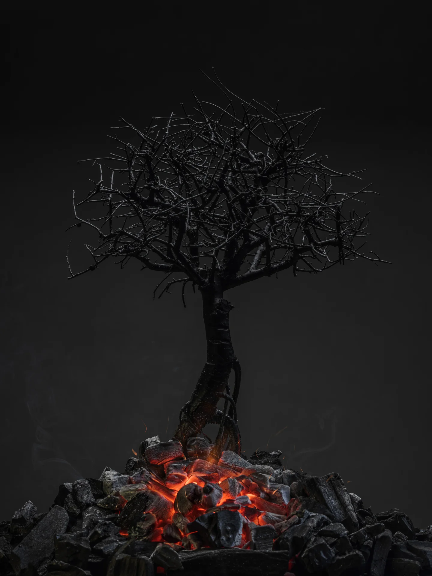 miguel_monasterio_fotografía_still life_71